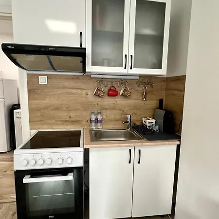 Cozy 1-bedroom Flat Sofia