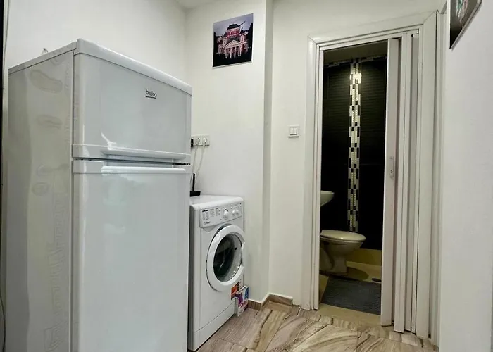 Cozy 1-bedroom Flat 公寓 索菲亞