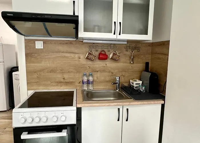 Cozy 1-bedroom Flat Sofía